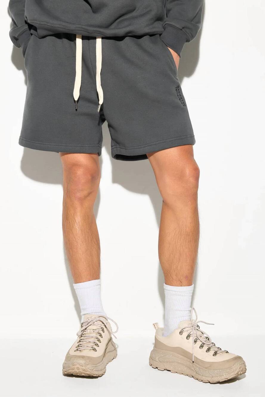 NEW SPIRITUAL GANGSTER men's logo bixby sweatshort in ash